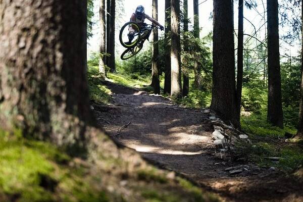 Singletrack Lipno - rodinná terénní cyklotrasa | Jižní Čechy