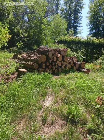 Daruji palivové dřevo akát za odvoz