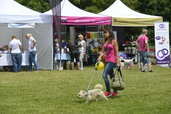 Fotogalerie | PesFest