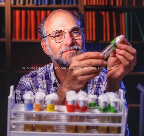 Editorial | Boston Photographer Stanley Rowin 