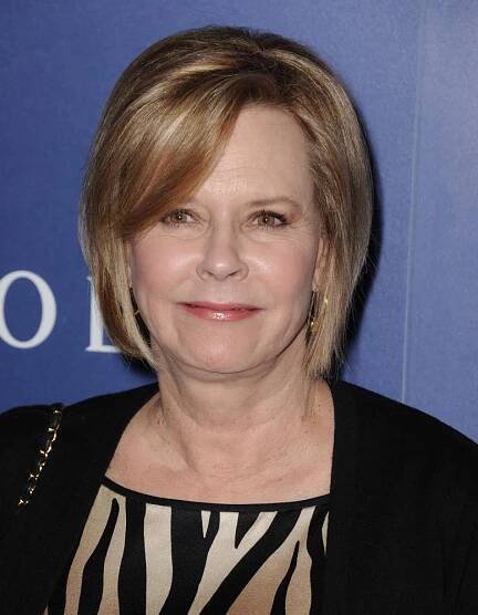 JoBeth Williams at arrivals for The Hollywood Foreign Press Association (HFPA) Installation Dinner, The Beverly Hilton Hotel, Beverly Hills, CA August 14, 2014. Photo By: Dee Cercone/Everett Collection