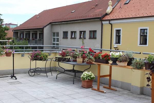 Výstava květin – Domov pro seniory Strážnice