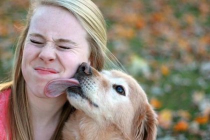 Proč nás psi milují? Nemají na vybranou, myslí si vědci