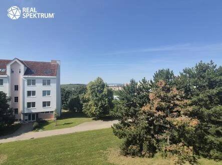 20250807_101820 | Pronájem bytu, 2+kk, 40 m²