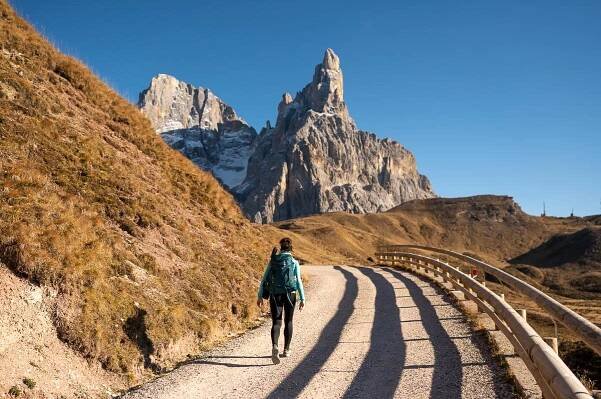 Passo Rolle To Monte Castellaz - A Great & Easy Half Day Hike In The Italian Dolomites 5