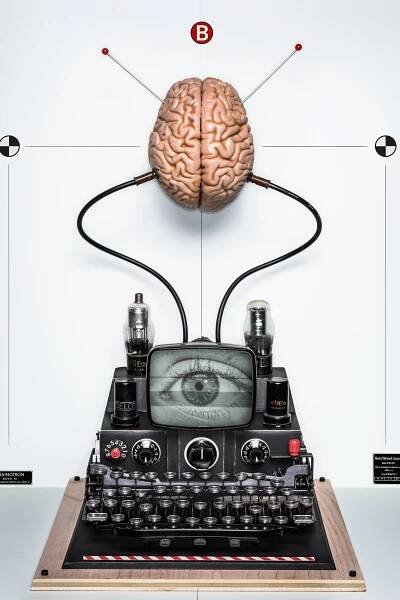 Inside the Race to Build a Brain-Machine Interface—and Outpace Evolution
