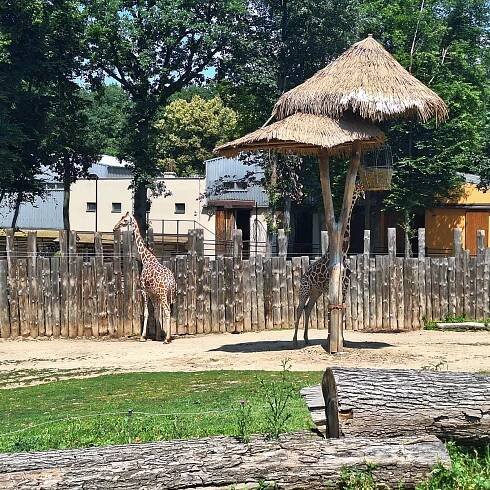 Třída 1.A navštívila Brno – Gymnázium Hranice