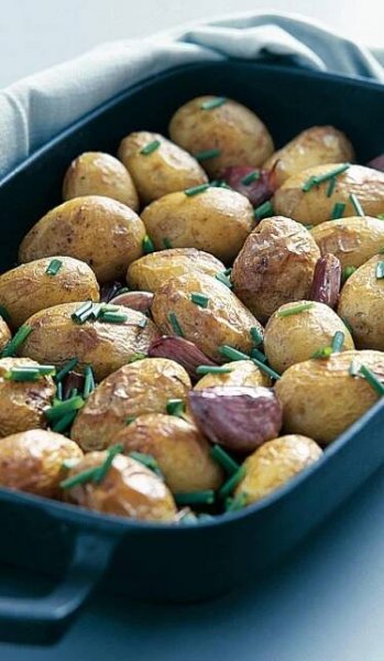 Samosběr česneku 2025: Co s sebou, tipy na farmy a kde koupit čerstvý český česnek | Apetit Online
