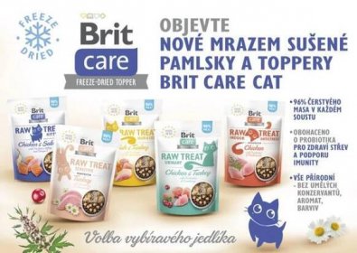 Brit RAW Treat Cat Urinary 40 g - 2
