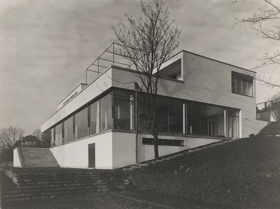 Dům - Vila Tugendhat