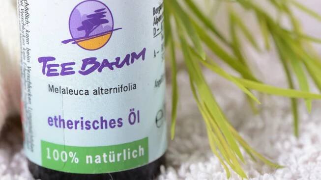 Teebaumöl: Naturheilmittel aus Australien