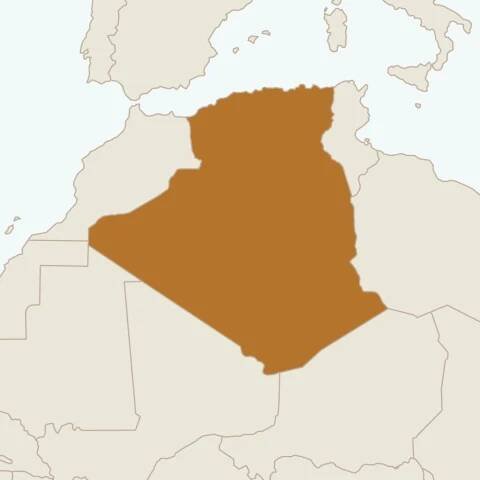 Middle East and North Africa | National Democratic Institute