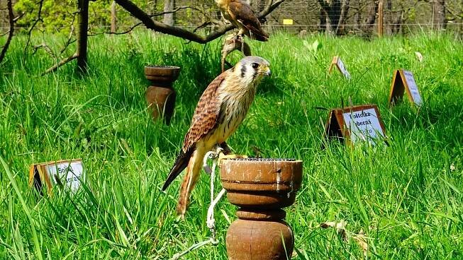 Fotografie - Zoopark Chomutov - 22.04.2023