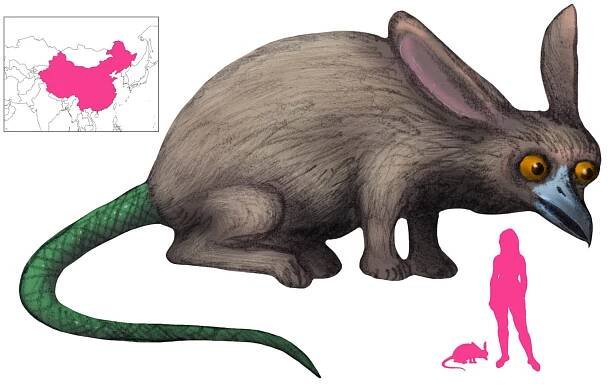 Hybrids | A Book of Creatures