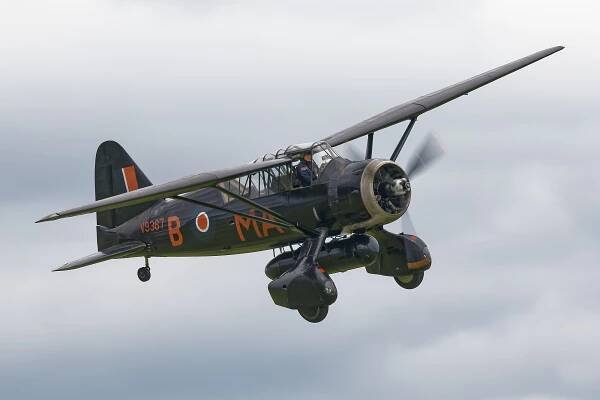 Lysander