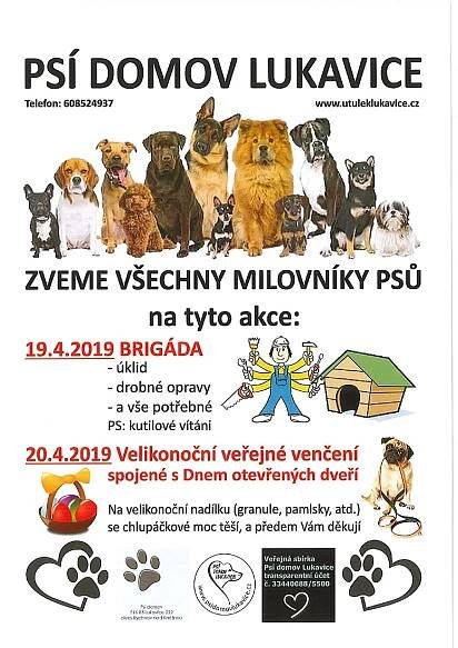 Psí domov Lukavice – pozvánka | Přepychy