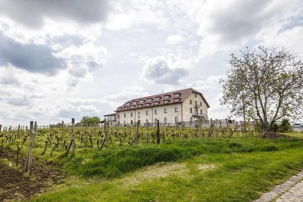 Skvělý relax na jižní Moravě až pro 6 osob: ubytování mezi vinicemi, polopenze a víno