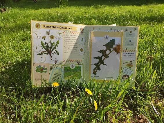Herbář pro děti | Agátin svět
