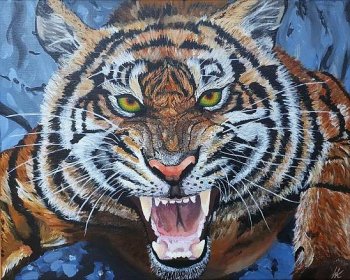 Hladový tygr | ORIGINAL GALLERY