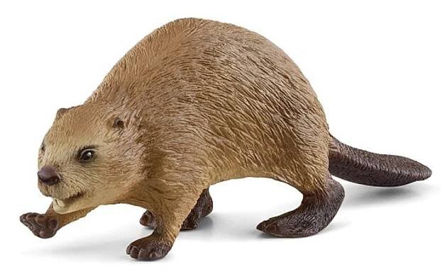 Schleich 14855 Bobr od 95 Kč