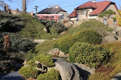 Japonská zahrada v Česku: Majitel na Žďársku pěstuje stovky bonsají