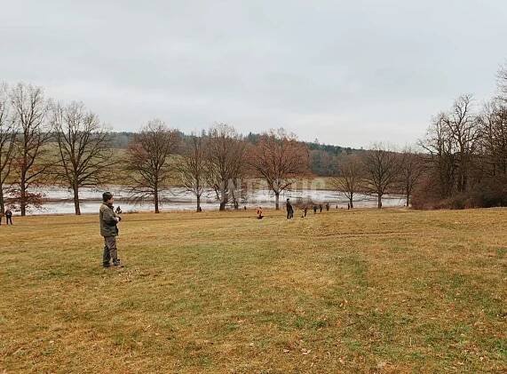 Hon na bažanta v bažantnici Radany 2025 - Huntastic