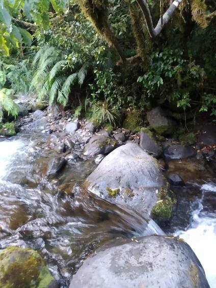 Tramping: Around the Mountain Circuit, Mt Taranaki - Leisure Life Larry