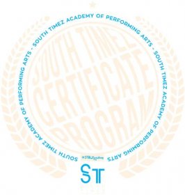 STMZ Syllabus Logo