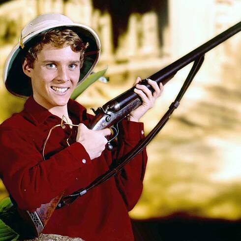 Here’s What Happened to ‘Dennis the Menace’ Star Jay North — His Journey Was a Painful One