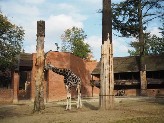 Zoologická a botanická zahrada Liberec | Slevomat.cz