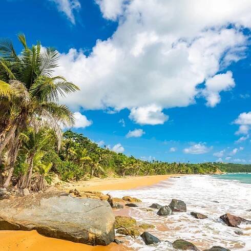 only-adults-hotels-puerto-rico-crop