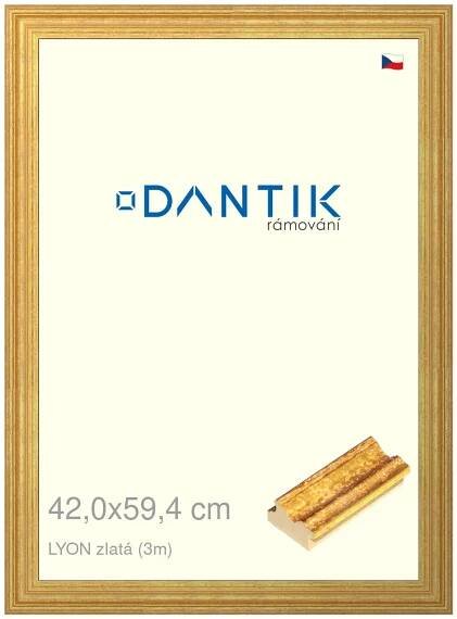 DANTIK rámeček na obraz 40x50