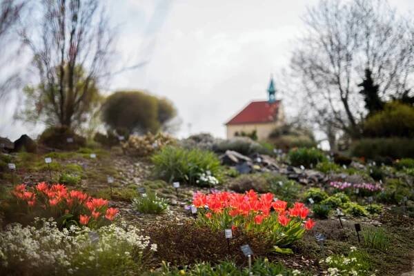 53. sezónu Botanické zahrady Praha zahájila výstava orchidejí + přehled akcí na celý rok - Proti šedi