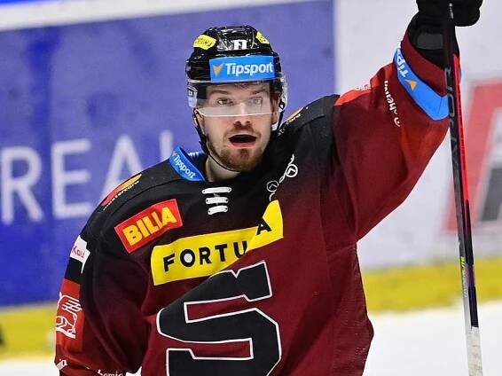 David Musil - Sport.cz