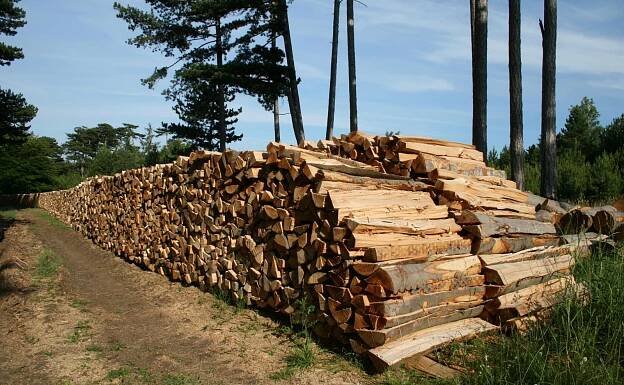 SVOL žádá Evropskou komisi o „Zelenou dohodu pro udržitelnou, bezpečnou a prosperující Evropu“ – Les aktuálně