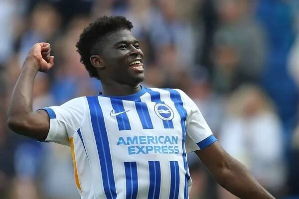 Brighton & Hove Albion FC - News, Transfers, Fixtures, Results & Scores - Daily Star