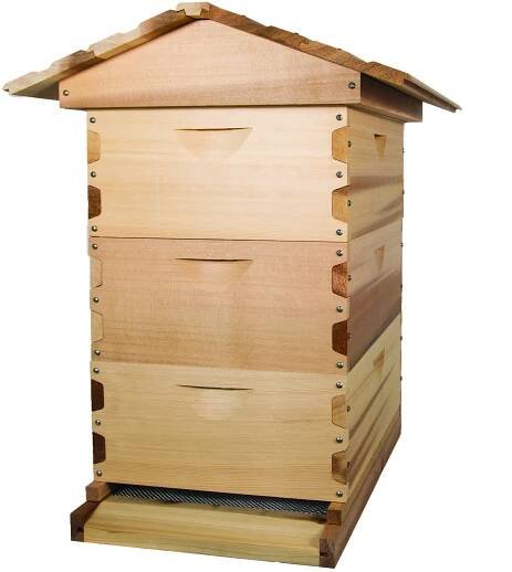 Langstroth Bee Built Beehive
