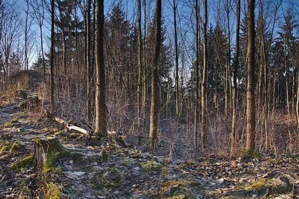 Doubravice nad Svitavou (hrad) – Wikipedie