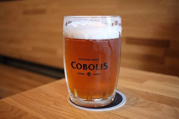 Cobolis