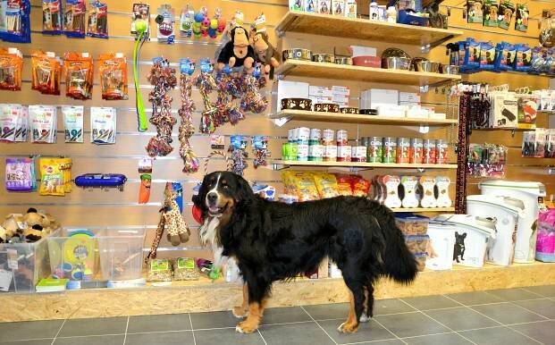 Hladová-Miska.cz - e-shop s krmivem a chovatelskými potřebami pro Vaše mazlíčky