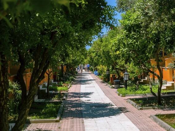 Özlem Garden