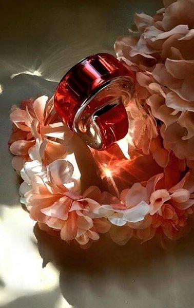 Omnia Coral Bvlgari pro ženy