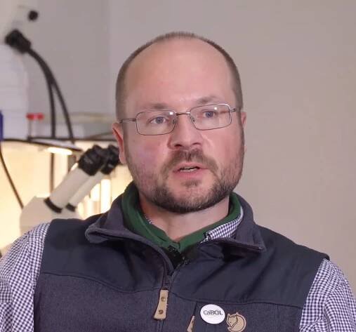 CaBOL Experts Stefan Otto