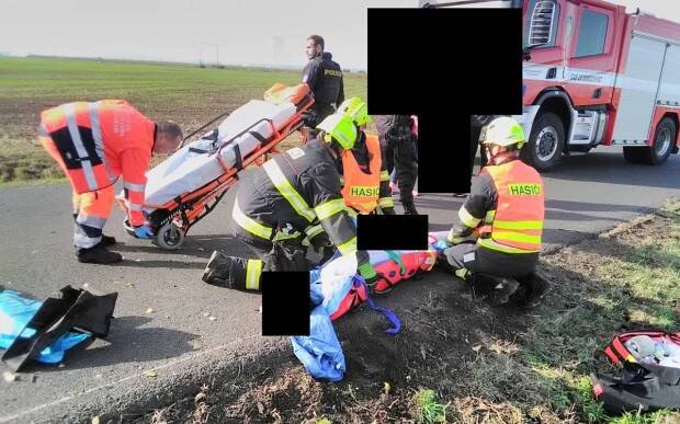 AKTUÁLNĚ: Havárii vozu, který narazil do stromu, nepřežil domácí mazlíček. Silnice do Hrušovan je uzavřená