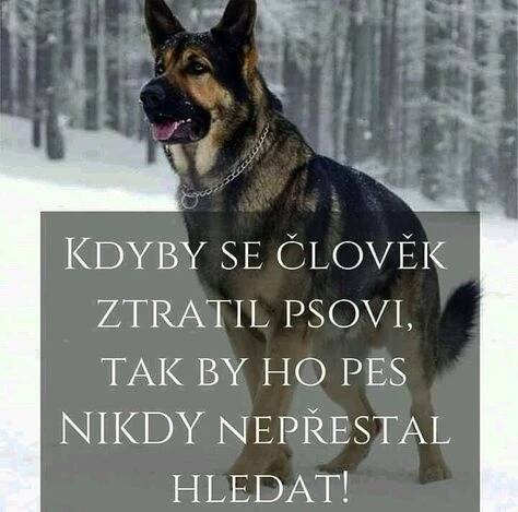 Titulní obrázek vybrané nástěnky