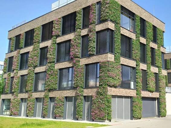 Zelené fasády a budovy: Účinný nástroj v boji proti přehřívání měst