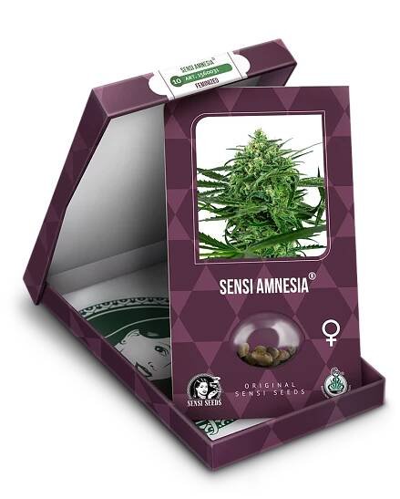 Sensi Amnesia Feminized Seeds - Euforia Headshop & Growshop
