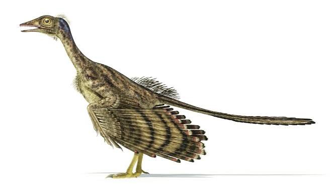 Digital illustration of archaeopteryx dinosaur.