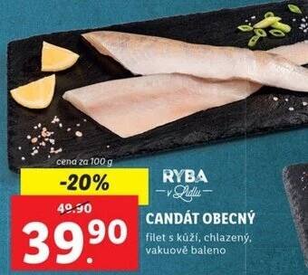 Lidl CANDÁT OBECNÝ nabídka