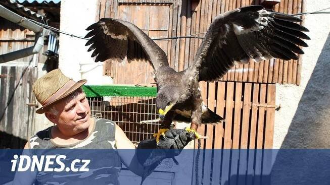 Ošetřovat, krmit, venčit. Záchranná stanice se stará o prase, čápy i mývala - iDNES.cz